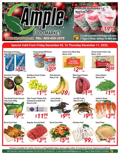 Ample Food Market (Brampton) Flyer December 5 to 11