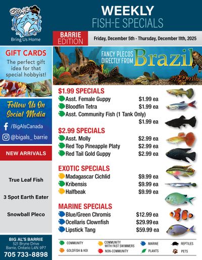 Big Al's (Barrie) Weekly Specials December 5 to 11