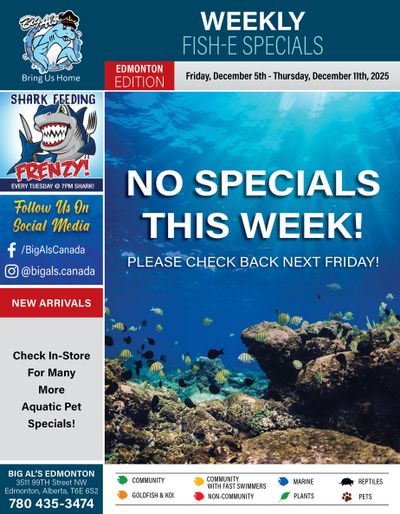 Big Al's (Edmonton) Weekly Specials December 5 to 11