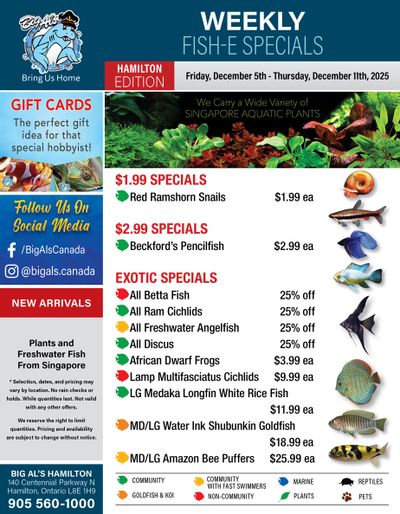 Big Al's (Hamilton) Weekly Specials December 5 to 11