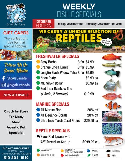 Big Al's (Kitchener) Weekly Specials December 5 to 11