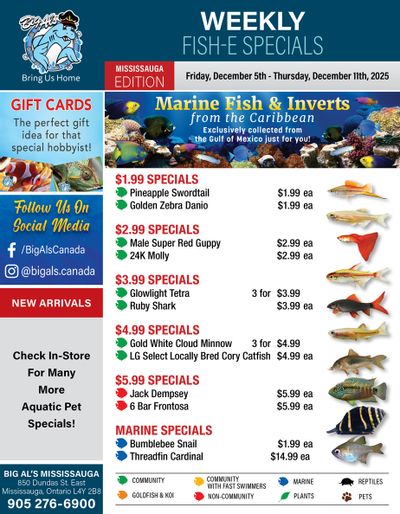Big Al's (Mississauga) Weekly Specials December 5 to 11