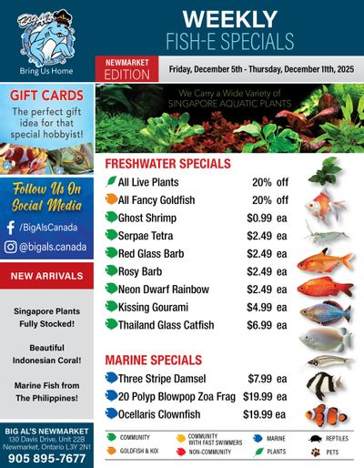 Big Al's (Newmarket) Weekly Specials December 5 to 11