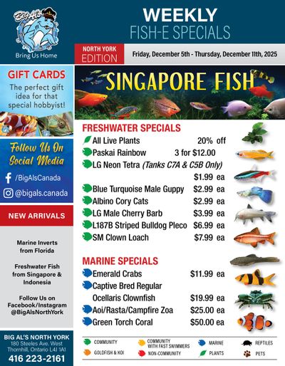 Big Al's (North York) Weekly Specials December 5 to 11