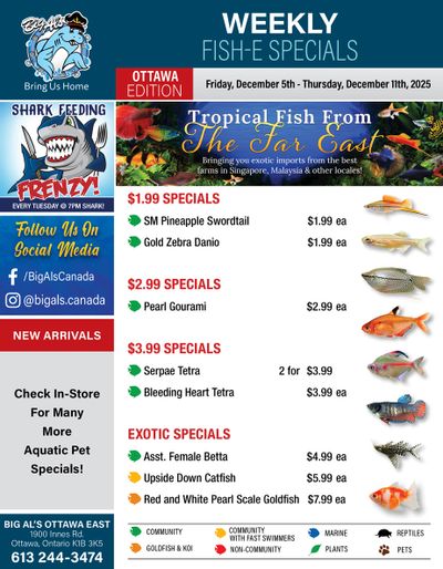 Big Al's (Ottawa) Weekly Specials December 5 to 11
