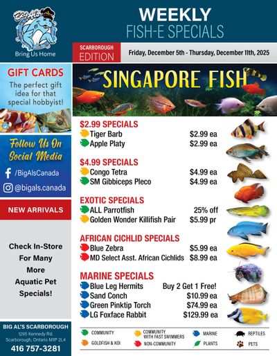 Big Al's (Scarborough) Weekly Specials December 5 to 11