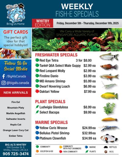 Big Al's (Whitby) Weekly Specials December 5 to 11