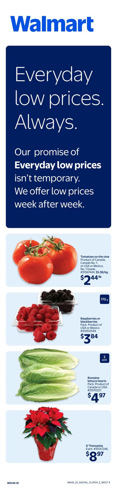 Walmart (West) Flyer December 11 to 17