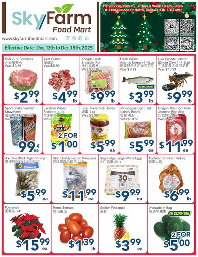 SkyFarm Food Mart Flyer December 12 to 18