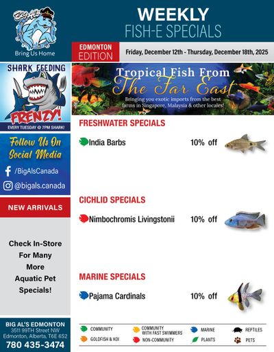 Big Al's (Edmonton) Weekly Specials December 12 to 18