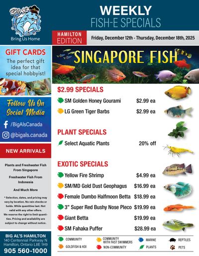 Big Al's (Hamilton) Weekly Specials December 12 to 18