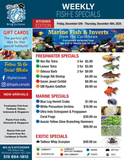 Big Al's (Kitchener) Weekly Specials December 12 to 18