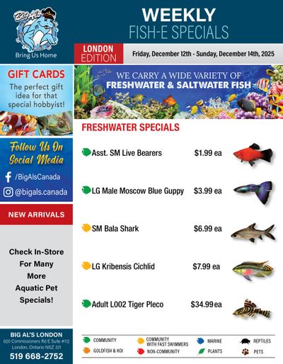 Big Al's (London) Weekend Specials December 12 to 14