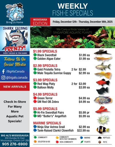 Big Al's (Mississauga) Weekly Specials December 12 to 18
