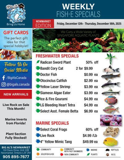 Big Al's (Newmarket) Weekly Specials December 12 to 18