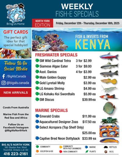 Big Al's (North York) Weekly Specials December 12 to 18