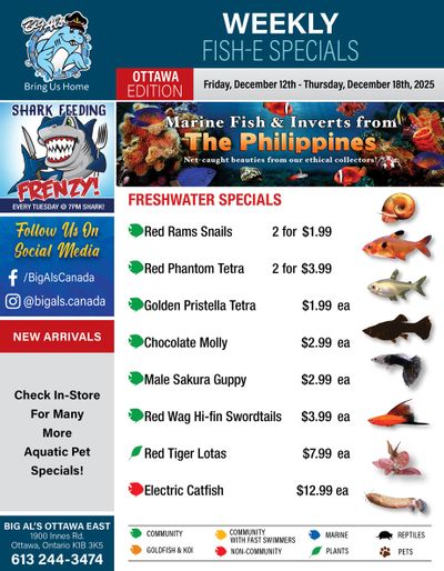 Big Al's (Ottawa) Weekly Specials December 12 to 18