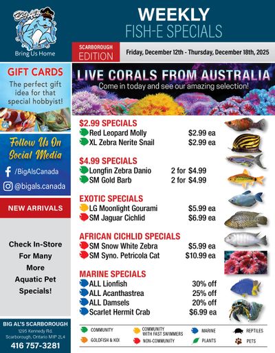 Big Al's (Scarborough) Weekly Specials December 12 to 18
