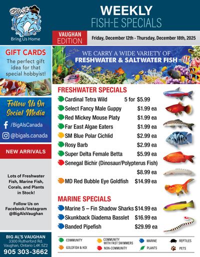 Big Al's (Vaughan) Weekly Specials December 12 to 18