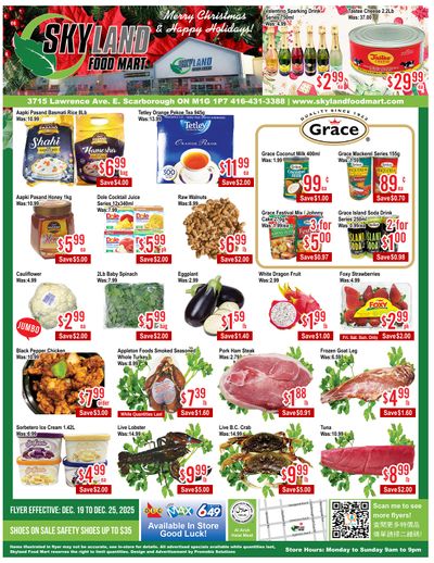 Skyland Food Mart Flyer December 19 to 25