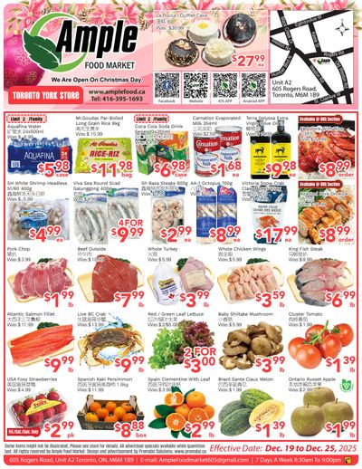 Ample Food Market (North York) Flyer December 19 to 25