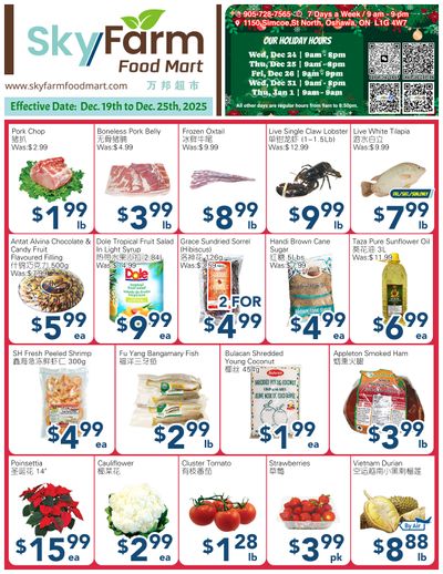 SkyFarm Food Mart Flyer December 19 to 25
