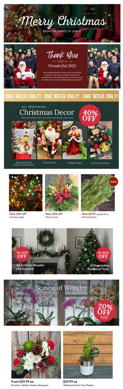 Lakeside Garden Gallery Flyer December 19 to 25