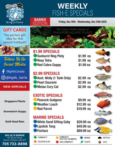 Big Al's (Barrie) Weekly Specials December 19 to 24