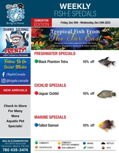 Big Al's (Edmonton) Weekly Specials December 19 to 24