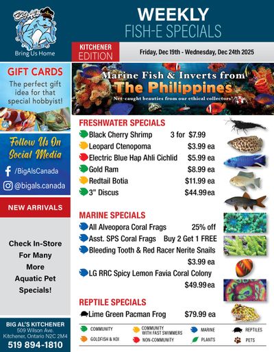 Big Al's (Kitchener) Weekly Specials December 19 to 24