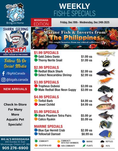 Big Al's (Mississauga) Weekly Specials December 19 to 24