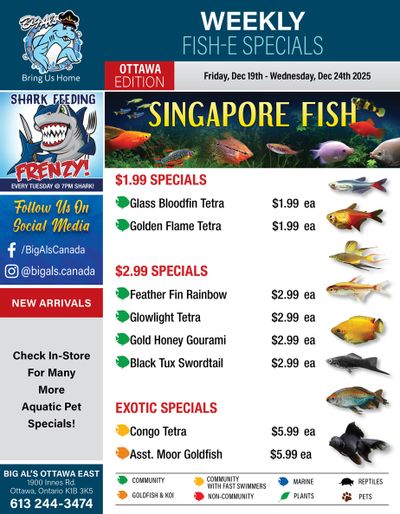 Big Al's (Ottawa) Weekly Specials December 19 to 24
