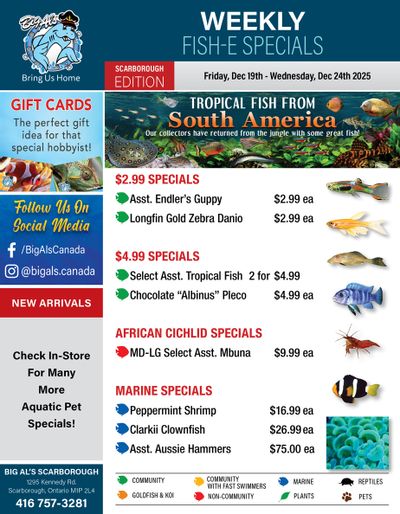Big Al's (Scarborough) Weekly Specials December 19 to 24