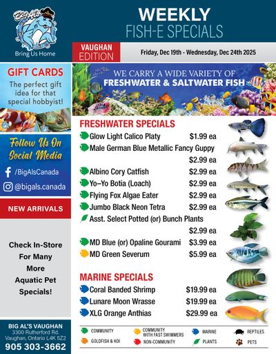 Big Al's (Vaughan) Weekly Specials December 19 to 24