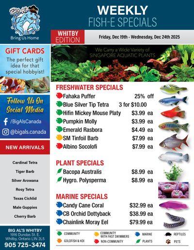 Big Al's (Whitby) Weekly Specials December 19 to 24