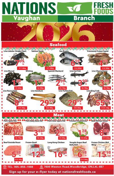 Nations Fresh Foods (Vaughan) Flyer December 26 to January 1