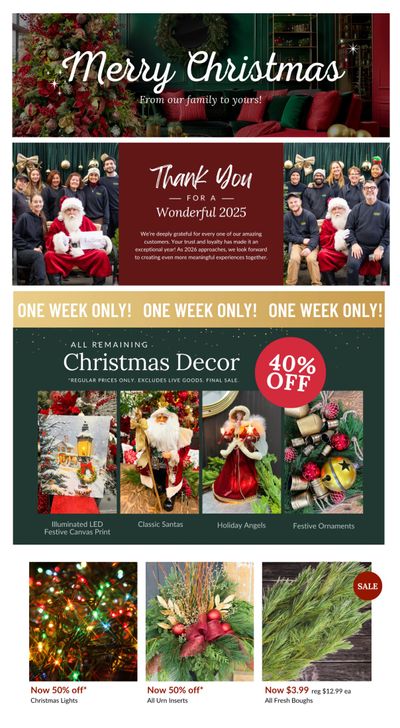 Lakeside Garden Gallery Flyer December 26 to January 1