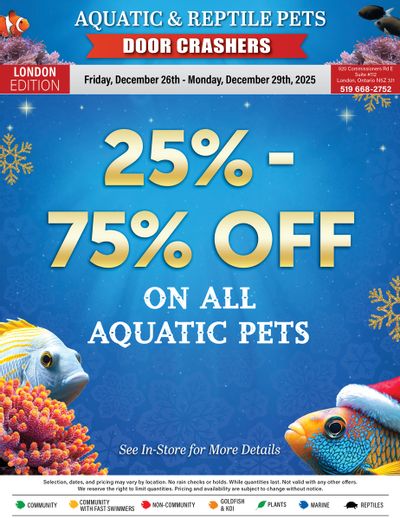 Big Al's (London) Weekend Specials December 26 to 29