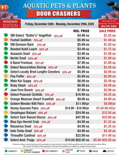 Big Al's (Mississauga) Weekly Specials December 26 to 29