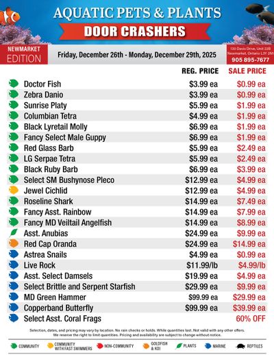 Big Al's (Newmarket) Weekly Specials December 26 to 29