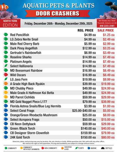 Big Al's (North York) Weekly Specials December 26 to 29