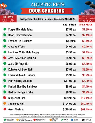 Big Al's (Ottawa) Weekly Specials December 26 to 29