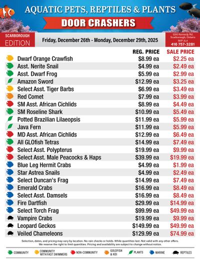 Big Al's (Scarborough) Weekly Specials December 26 to 29