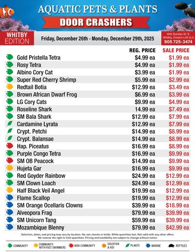Big Al's (Whitby) Weekly Specials December 26 to 29