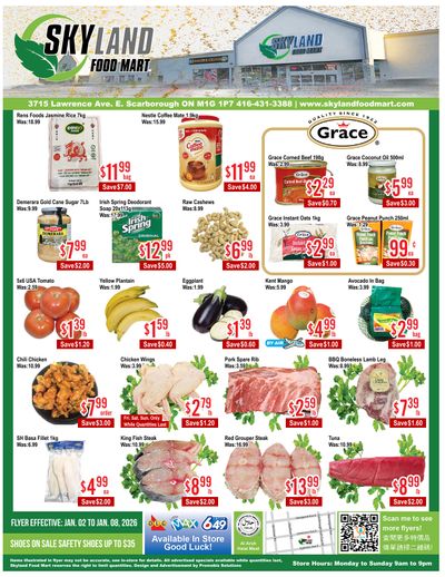 Skyland Food Mart Flyer January 2 to 8