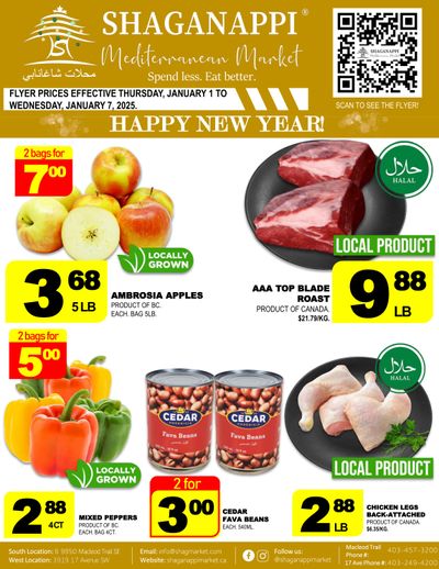 Shaganappi Mediterranean Market Flyer January 1 to 7