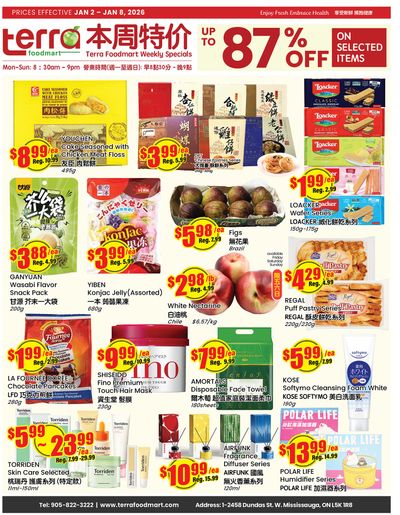 Terra Foodmart Flyer January 2 to 8