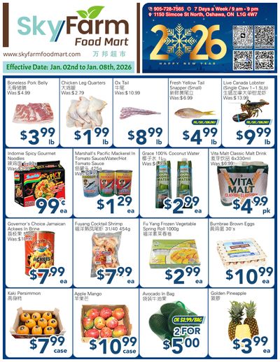 SkyFarm Food Mart Flyer January 2 to 8