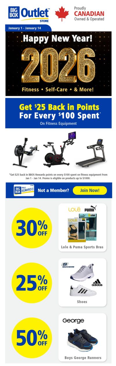 Big Box Outlet Store Flyer January 1 to 14
