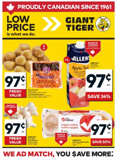 Giant Tiger Canada Flyer Deals January 7th – 13th